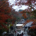 日本京都奈良大阪紅葉紀行2010 - 4