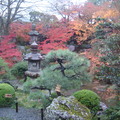 日本京都奈良大阪紅葉紀行2010 - 3