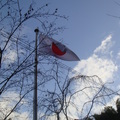 難得見到大日本國的國旗飄揚。