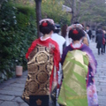 2010董事長盃競賽於12/11-15到日本京都奈良大阪等地...楓紅季末，黃橙橙的銀杏~在神社巧遇傳統婚禮的進行，氣氛莊嚴與神聖~~