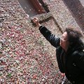 這是西雅圖著名的口香糖牆
