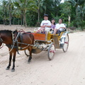 泰國芭達雅傳統馬車-2007.10.6