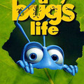 bug's