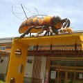蜜蜂博物館