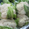 田子坊菜市場賣的花椰菜，約手掌大小，小巧可愛