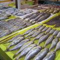 排列整齊的魚，讓魚販老闆娘成為是遊人拍照的最愛
