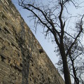 南京明台城上斑駁的城牆