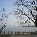 玄武湖美景