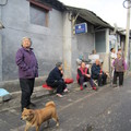 北京銅鑼鼓巷逛胡同，老人家們閒話家常