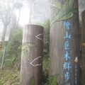 在山嵐雲霧的掩映下，檜山步道的巨樹，已有2000多歲了