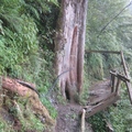 一場大雨之後，損毀了木板棧道，行人得攀著山壁前進