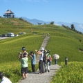 六十石山處處有美景，遊客人手一機，拍攝金針花田