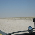 在沙漠公路上奔馳，放眼望去，沙地上只有點點野草