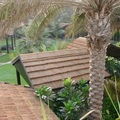 Beit Al Bahar Villas充滿南洋情調，就在帆船飯店的對面，院子裡的椰棗樹粗壯有勁