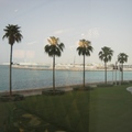 圍繞在Burj Al Arab帆船飯店四周的棕櫚樹迎風搖曳，有一股特別的情調