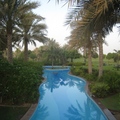 阿布達比酋長皇宮的西廂泳池，環繞在一片綠地中，特別漂亮