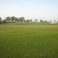 綠草如絲，滿眼青翠，這是波斯灣畔的阿布達比酋長皇宮的草坪