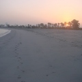 波斯灣畔，紅日初升，沙灘上留著一行馬 亞的腳印。