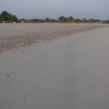 「阿布達比酋長皇宮」的海灘，沙質細緻，像宣紙，可以畫圖，還可以寫字，瞧！初生的陽光把馬 亞的身形畫下來了。