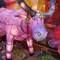 牛氣沖天-艋舺龍山寺的花燈 - 紫牛燈