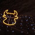 2009己丑年，肖牛，牛頭的燈飾
