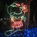這是台北燈會，為聽障奧運會設計的吉祥蛙燈