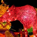 2009年台北燈會，滿身彩繪的牛，非常漂亮！
