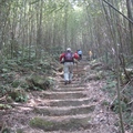 馬那邦山登山步道，穿越竹林，遊人輕裝而行