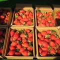 大湖盛產草莓，這是現採現賣的新鮮草莓，又香又甜的滋味，令人難忘。