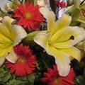 香水百合，花型大，香味濃，是插花時常用的花材