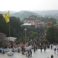 淡水天元宮是北台灣著名的賞花之地，吉野櫻盛開時，上山賞花的人潮非常多