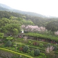 淡水天元宮建物宏偉，庭園雅潔