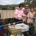 淡水天元宮路邊販賣的草餅，有四種包餡，又軟又香，趁熱吃吧！