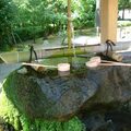 長壽泉 清洌甘美 水泉就沿著綠色的葉子滴下來 像一道珠簾 真美！