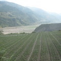 無論在溪底或台地，都能見到耕植的農作物，台灣真是「地盡其利」了