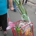 端午節，阿媽的菜籃子裡多買了二束菖蒲和艾草