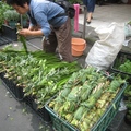 在台灣民俗中，端午節要在門戶掛上菖蒲、榕葉和艾草，也用來洗藥草浴，能驅邪魔
