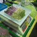 在台北建國花市看花，也可以買到新鮮的蔬菜和水果
