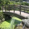 竹子湖的小橋流水，初夏時期水面長滿了青綠色的浮萍