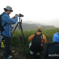 站在六十石山的「忘憂亭」，俯拍金針花田，是攝影師最愛的角度