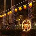 台北仁愛路上的行道樹，穿上彩衣慶元宵