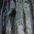 玄空洞的山壁上可以看見鐘乳石