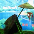  2006年台北國際旅展-桂林風光