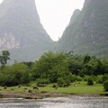 牛群在青山綠水間