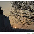 這一季的美櫻 - 中正紀念堂之夕陽