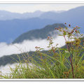 太平山。雲霧縹緲 - 11