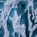 綠色和平-北極融冰