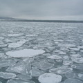 北海道浮冰