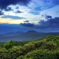 汐止五指山風景 - 15