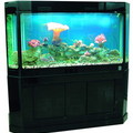 tmd fish tank